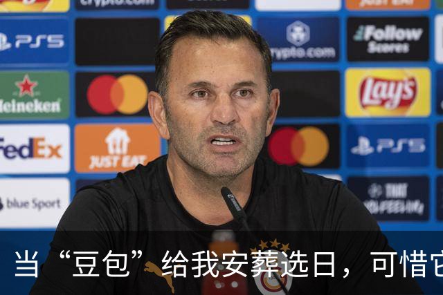 当“豆包”给我安葬选日，可惜它不是个风水大师